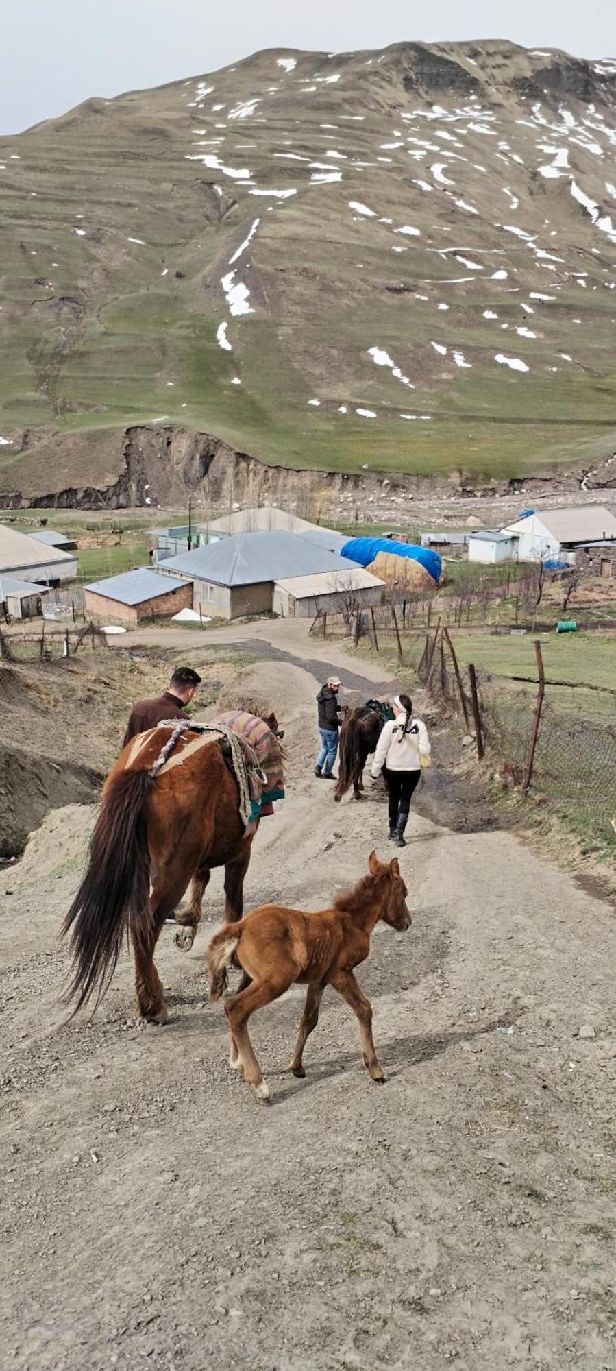 Xinaliq Elnur Guest House, New Hotel 外观 照片