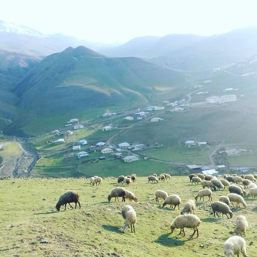 Xinaliq Elnur Guest House, New Hotel 外观 照片